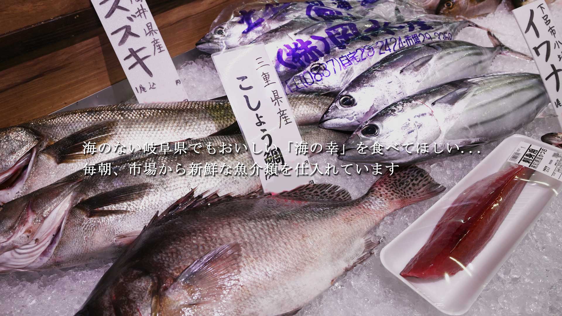 海のない岐阜県でもおいしい「海の幸」を食べてほしい…　毎朝、市場から新鮮な魚介類を仕入れています。